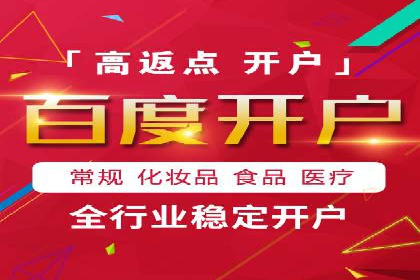 SEM广告投放的技巧与策略——成功案例分享