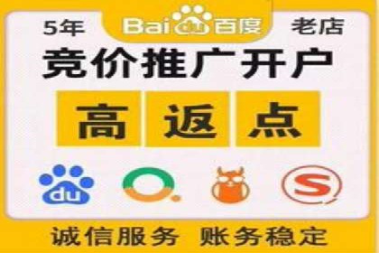 百度SEM竞价案例：揭秘高效广告投放策略